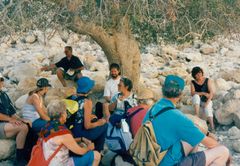 Israel, 1990, גלית ששון וידמן, [object Object], [object Object], [object Object], [object Object], Dokuforte #1065