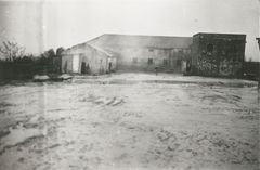 Israel, Tel Hai's yard, 1949, גלית ששון וידמן, [object Object], Dokuforte #529