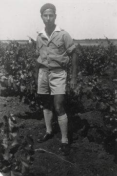 Israel, In the vineyard, 1940, סימה שפיר, [object Object], [object Object], Dokuforte #406