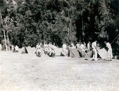 Israel, 1949, גלית ששון וידמן, [object Object], Dokuforte #534