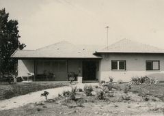 ישראל, 1967, גידי רשף, [object Object], [object Object], Dokuforte #889