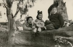 Israel, Aharonson family (from right: Zvika, Ayala, Sara), 1943, גידי רשף, [object Object], [object Object], [object Object], [object Object], Dokuforte #468