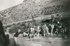 Israel, on the way to Tel Hai (Prob. Hindaz pass), 1949, גלית ששון וידמן, [object Object], [object Object], Dokuforte #538