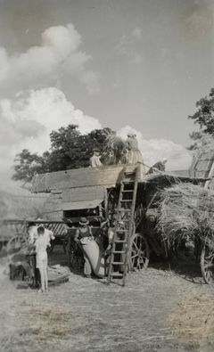 Slovakia, 1941, Judit Kinszki, Gábor Kinszki, [object Object], Dokuforte #440
