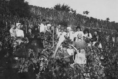 Hungary, 1935, Gabi Laron, [object Object], [object Object], Dokuforte #1463