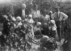 Hungary, Grape harvest, 1935, Gabi Laron, [object Object], [object Object], [object Object], Dokuforte #1519