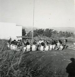 Eretz Israel, 1930, Yehudit Adel Sholdos, [object Object], Dokuforte #1978