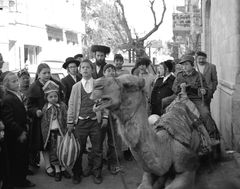 Israel, Mea Shearim, Purim, 1969, Gabi Laron, Gabi Laron, [object Object], [object Object], Dokuforte #1330