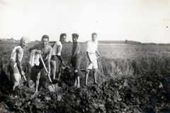 Israel, Hashomer Hatzair Bulgaria, 1933, Yehudit Adel Sholdos, [object Object], [object Object], [object Object], [object Object], Dokuforte #2634