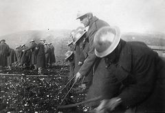 Italy, Mine detector training, 1944, Yehudit Adel Sholdos, [object Object], [object Object], [object Object], [object Object], Dokuforte #2650