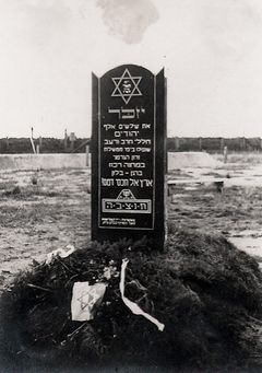 גרמניה, יזכר את שלשים אלף יהודים חללי חרב ורעב שנפלו בימי ממשלת זדון הגרמני במחנה רכוז ברגן-בלזן. ארץ אל תכסי דמם!, 1945, Yehudit Adel Sholdos, [object Object], [object Object], [object Object], [object Object], Dokuforte #2678