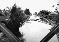 Egypt, A bridge for crossing over the freshwater canal, near the parking area of the reconnaissance company of Brigade 5.

With cooperation of Nadav Mann / Bitmuna, 1973, Dany Benshalom, Dany Benshalom, [object Object], [object Object], [object Object], [object Object], [object Object], [object Object], [object Object], [object Object], Dokuforte #3071