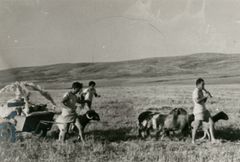 Israel, Kibbutz Tziklag,Kibbutz Lahav, Shavuot, 1956, Benny Barzilay, [object Object], [object Object], [object Object], [object Object], [object Object], Dokuforte #3158