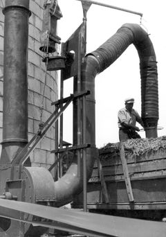 Israel, Suction of chopped corn into the silo tower for silage, Shmuel Sade.

With cooperation of Nadav Mann / Bitmuna, 1955, Dany Benshalom, Rafi Benshalom, [object Object], [object Object], Dokuforte #3478