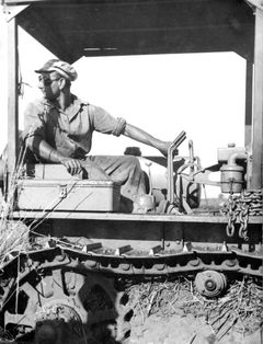 Israel, Yuzi on the tractor in the fields of HaOgen

With cooperation of Nadav Mann / Bitmuna, 1947, Dany Benshalom, Rafi Benshalom, [object Object], [object Object], [object Object], [object Object], [object Object], Dokuforte #3454