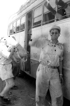 ישראל, חנן ורדי, 1955, Ruth Lackner Hiller / Kibbutz Haogen Archive, [object Object], [object Object], [object Object], [object Object], [object Object], [object Object], Dokuforte #4360