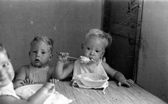 ישראל, דן שרון יורם לאור, 1955, Ruth Lackner Hiller / Kibbutz Haogen Archive, [object Object], [object Object], [object Object], [object Object], Dokuforte #4280