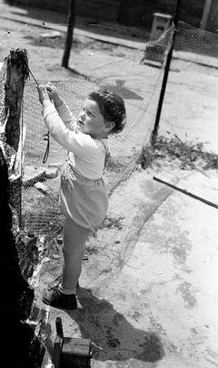 Israel,  אילנה ליבני, 1955, Ruth Lackner Hiller / Kibbutz Haogen Archive, [object Object], [object Object], [object Object], [object Object], [object Object], Dokuforte #4193
