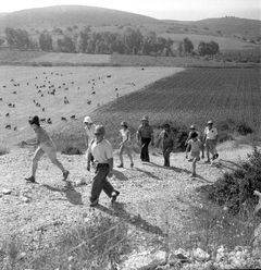 Israel, אוטי גולדברגר, שרה אייזקוביץ, אריה אייזקוביץ, פירי שחר, חנה צימרמן, 1950, Ruth Lackner Hiller / Kibbutz Haogen Archive, [object Object], [object Object], [object Object], [object Object], [object Object], [object Object], Dokuforte #4181