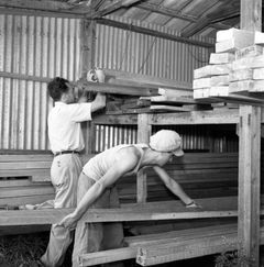 ישראל, ארי ברנע ואפרא אגמון בנגריה, 1955, Ruth Lackner Hiller / Kibbutz Haogen Archive, [object Object], [object Object], [object Object], [object Object], [object Object], [object Object], Dokuforte #4227