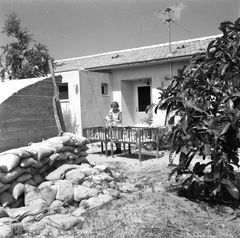 Israel, אבקה שרון, children's home, 1955, Ruth Lackner Hiller / Kibbutz Haogen Archive, [object Object], [object Object], [object Object], [object Object], [object Object], Dokuforte #4167