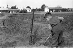 Israel, יאיר קרני, 1955, Ruth Lackner Hiller / Kibbutz Haogen Archive, [object Object], [object Object], [object Object], [object Object], [object Object], [object Object], Dokuforte #4381
