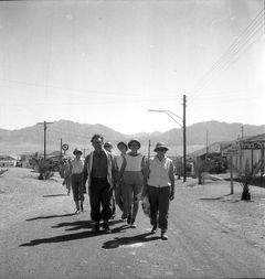 Israel, יהודית הרטמן, אביבה אמסטרדם, חנה צימרמן, דן צימרמן, שלמה גרנות, יהודית שנפלד, 1955, Ruth Lackner Hiller / Kibbutz Haogen Archive, [object Object], [object Object], [object Object], [object Object], [object Object], [object Object], [object Object], Dokuforte #4388