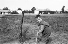 Israel, יאיר קרני, 1955, Ruth Lackner Hiller / Kibbutz Haogen Archive, [object Object], [object Object], [object Object], [object Object], [object Object], [object Object], Dokuforte #4380