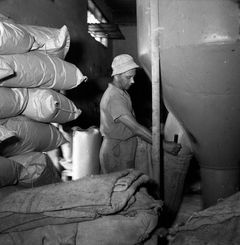 Israel, יצחק שרון , 1955, Ruth Lackner Hiller / Kibbutz Haogen Archive, [object Object], [object Object], [object Object], [object Object], [object Object], Dokuforte #4449
