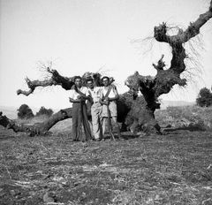 Israel, רוברט רון ושמואל שדה, 1955, Ruth Lackner Hiller / Kibbutz Haogen Archive, [object Object], [object Object], [object Object], [object Object], [object Object], Dokuforte #4635