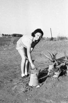 ישראל, 1955, Ruth Lackner Hiller / Kibbutz Haogen Archive, [object Object], [object Object], [object Object], [object Object], [object Object], [object Object], Dokuforte #4463