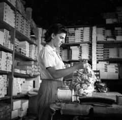 Israel, מרים גולדברגר, 1955, Ruth Lackner Hiller / Kibbutz Haogen Archive, [object Object], [object Object], [object Object], [object Object], Dokuforte #4502