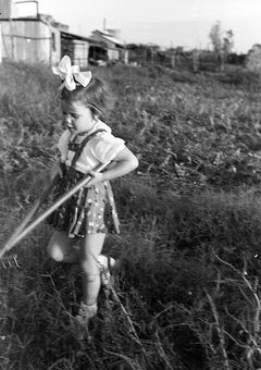 Israel, שלומית זכאי, 1955, Ruth Lackner Hiller / Kibbutz Haogen Archive, [object Object], [object Object], [object Object], [object Object], [object Object], Dokuforte #4669