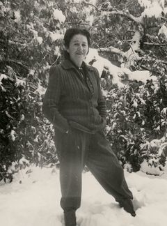 ישראל, שלג בירושלים, 1958, Shmuel Brenner, [object Object], [object Object], Dokuforte #4732