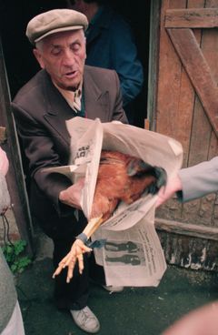 Hungary,Czech Republic,Ukraine, Subcarpathia, In 1690, Orthodox Jews (primarily from Poland) began settling in Subcarpathia. By 1939, the Jewish community of Munkács made up half of the town’s population and maintained a vibrant life.
It drastically changed with the introduction of discriminatory laws, ghettoization. After World War II, the remaining and diminished Jewish population of Subcarpathia faced even greater hardship due to the intensifying antisemitism., 1993, Kiss Ferenc, Kiss Ferenc, [object Object], [object Object], [object Object], [object Object], [object Object], Dokuforte #5057