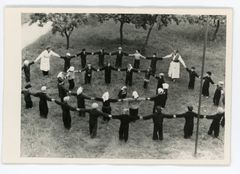 1950, Miklós Haraszti, Dokuforte #5202